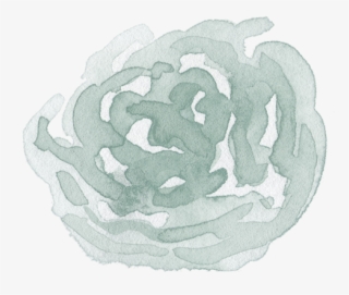 Sageflowerpng - Illustration #9083440 Sageflowerpng - Illustration #9083440