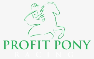 Own A Racehorse For £1 Per Day - Ginza Project #9085111