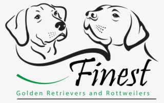 Finest Golden Retrievers And Rottweilers Is A Family - Vector Labrador Black And White Drawing #9086815