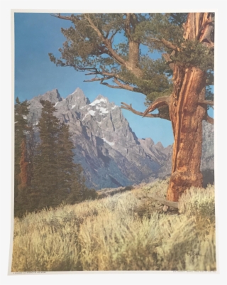 1796 X 2251 4 - Summit #9087143