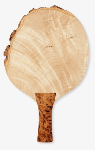 Sebastian Cox - Table Tennis Racket #9087526