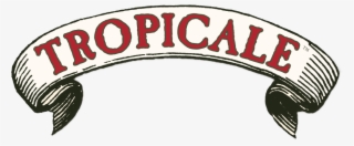 Tropicale Sugar Cubes - Circle #9087764