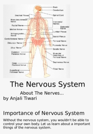 Doc - Diagram #9087909