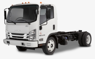 Isuzu Commercial Truck - Isuzu Nqr #9088248