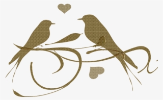 Bird Sparrow Animal Transparent Png Images Free Download - Love Birds Clip Arts Png #9088479