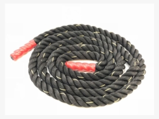 Networking Cables #9088844