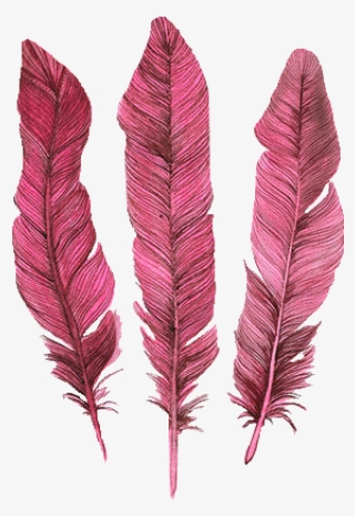 500 X 625 1 - Blue Feather #9088943