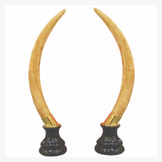 Colmillo De Elefante Png #9089148