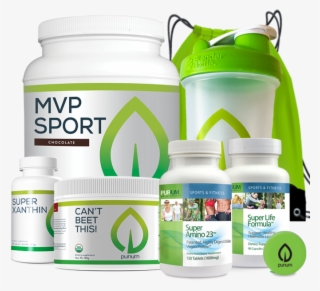 Shop Performance - Horse Grooming #9089386