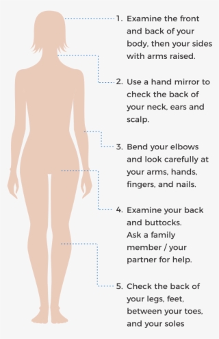 How To Check Your Skin Spots - Standing #9090055