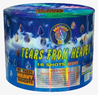 Carpenter Ant #9090702