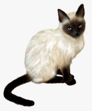 Png Gatos - Gato #9090769