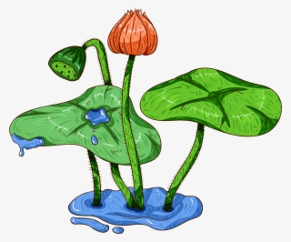 Original Comercial Pintados À Mão Plantas Aquáticas - Sacred Lotus #9091245