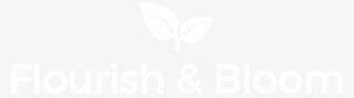 Png Flourish #9091247 Png Flourish #9091247