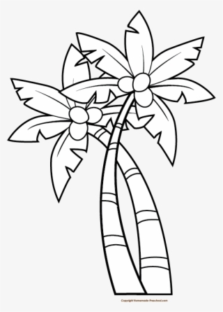 Palm Tree Png Clipart - Clipart Black And White Coconut Tree #9091779
