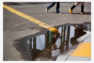 Previous Next - Reflection #9091847