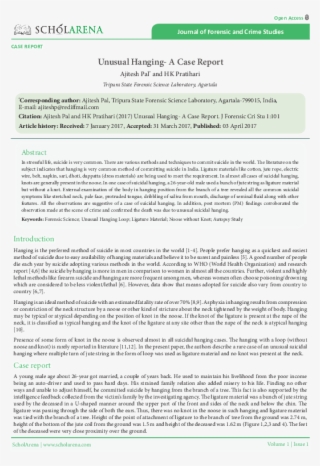 Pdf - Goose Tower In Vordingborg, Zealand #9092051