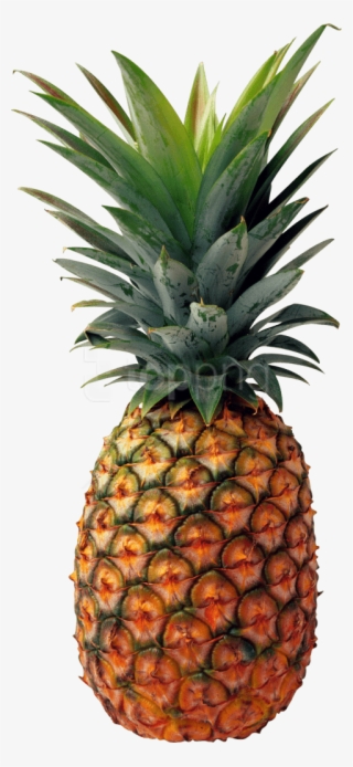 Free Png Pineapple Png Images Transparent - Pineapple Png #9092518