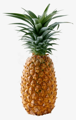 Free Png Download Pineapple Png Images Background Png - Pineapple Png #9092604