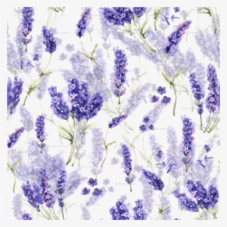 English Lavender #9092786