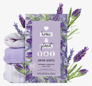 English Lavender #9092826