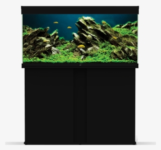 Emotions Pro - Emotion #9093316