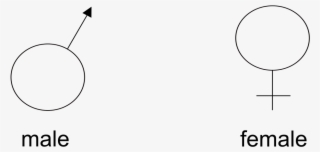 File - Gender Symbols - Svg - Circle #9093594