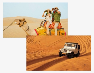 Food Dish Image - Camel Safari In Thar Desert #9093666