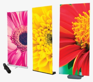 Roller Banners & Banner Stands - Gerbera #9093719