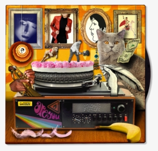 Album Cover Grey Cat #9094374