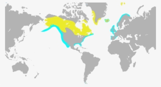 Fortnite - Labelled Black And White World Map #9094425