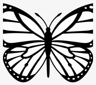 Butterfly Print Out Butterfly Print Outs 11371 Printable - Flower Clipart Png Black And White And Butterfly #9095047