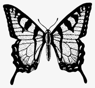 Monarch Butterfly Brush-footed Butterflies Black And - Butterfly Black And White Png #9095220