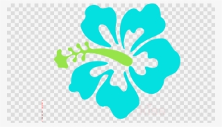 900 X 520 1 - Hibiscus Flower Svg #9095332