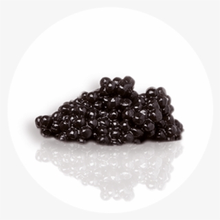 Caviar - Caviar Gif #9096830