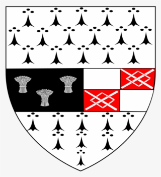 Laois - Kilkenny County Council Crest #9096979