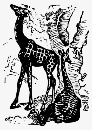 By J4p4n - Giraffe #9097166