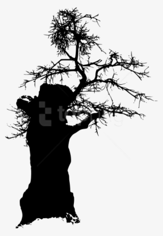 Free Png Tree Silhouette Png - Silhouette #9097167