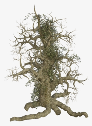 Jpg Free Free Photos Spooky Search Download Needpix - Tree #910142