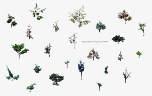 Hjm Small Trees Roots 2 Alpha 2 Mb [231 Download ] - Insect #910202