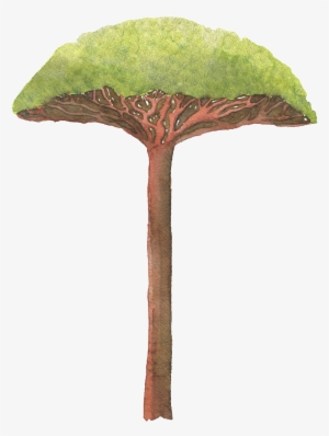 Big Tree Leaves Hand Painted Watercolor Transparent - Watercolor Painting #910205