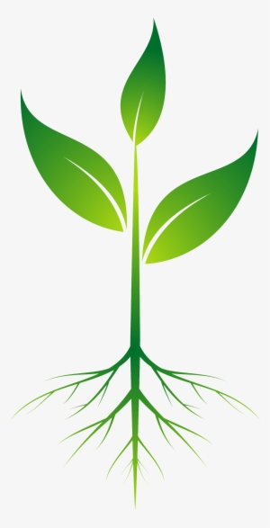 Root Plant Clip Art - Plant With Roots Png #910249