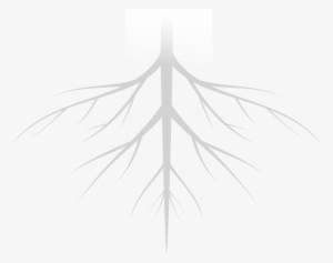 Tree Roots-01 - Geolite Clay Pebbles #910325