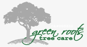 Green Roots Tree Care - Seyyah Ulu Çınarın Izinde #910425 Green Roots Tree Care - Seyyah Ulu Çınarın Izinde #910425