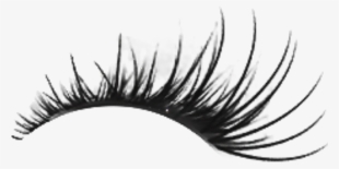 Free Download Pink Lashes Clipart Eyelash Extensions - Zao Volume And Sheathing Mascara - 085 Ebony #910507