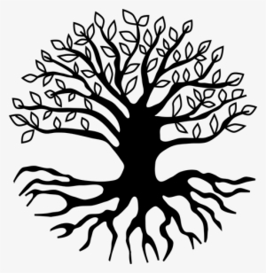 Drawing Tree Root - Arbol Con Raices Dibujo - Free Transparent PNG ...