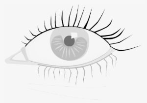 Mb Image/png - Eye Clip Art #911051