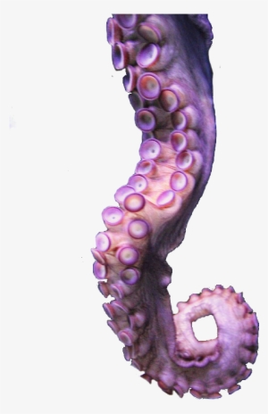 Octopus Tentacle Trans Transparent - Tentacle Transparent #912017