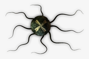 Alien Egg With Root Tentacles Closed - Egg #912368