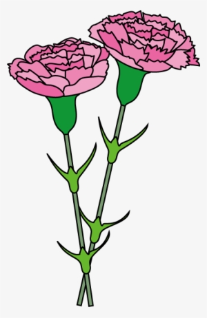 Carnation Cliparts - Clip Art #912761